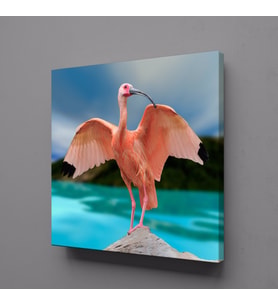 PEMBE FLAMİNGO KANVAS TABLO 100x100cm (Karışık)