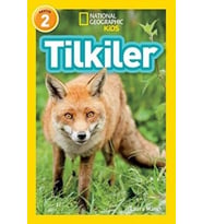 Tilkiler - Seviye 2