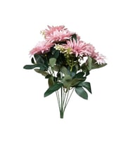 OGC-0038 CERBELE 9DAL 1 Adet