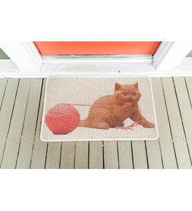 kedi tırmalama paspası, resimli petshop paspası 40*60