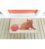 kedi tırmalama paspası, resimli petshop paspası 40*60