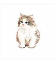 Sevimli Kedi Sticker Duvar Sticker 30x25 CM