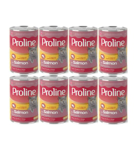 Proline Somonlu Yetişkin Kedi Konservesi 400 Gr*8 Adet (Kahverengi)