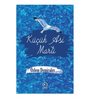 Küçük Asi Martı