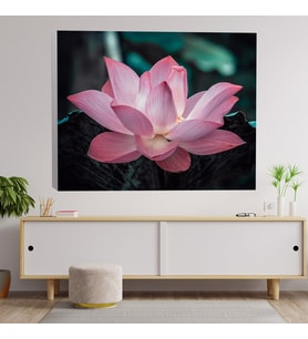 Yakın Çekim Lotus Çiçeği Dekoratif Kanvas Tablo 