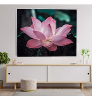 Yakın Çekim Lotus Çiçeği Dekoratif Kanvas Tablo 