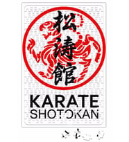 Kung Fu Karate Shotokan Puzzle 240 Parça Yapboz