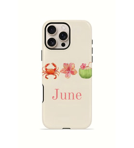 iPhone 16 Pro Vorian Çift Katmanlı MagSafe Kılıf June Seaside