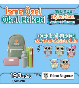Kapbirhediye Okul Etiketi Isme Özel Kalem Defter Etiketi Baykuş Temalı 190 Adet