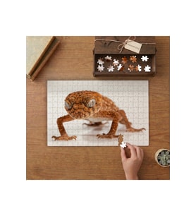 Kertenkele - Vahşi Hayvan Tasarımı 240 parça Ahşap Puzzle Ahşap Kutuda MP02883