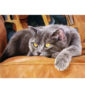 Leo Sayılarla Boyama Seti 40x50 cm (Tuvale Gerili)
