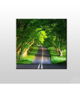 Orman İçindeki Yol Kanvas Tablo 70x70cm (Karışık)