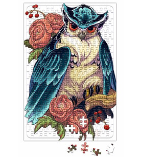 Baykuş Hayvan Owl Colour Drawing Çizim Puzzle