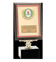 ODAK KUPA - Ahşap Plaketler - PL-054 B - 15x20 cm