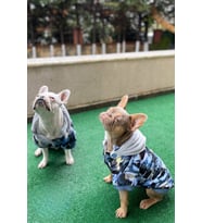 Köpek kıyafeti, Grafiti Design Köpek Montu KM-108