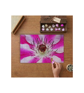 Akasma Çiçeği Yakın Çekim Tasarımı 240 parça Ahşap Puzzle Ahşap Kutuda MP05921