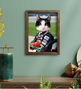 Evcil Dostlara Özel Nascar Pilot Tasarımlı Portre Doğal Masif Ahşap Çerçeveli Tablo 30x40cm-4