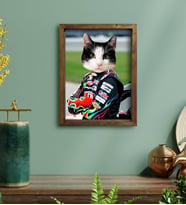 Evcil Dostlara Özel Nascar Pilot Tasarımlı Portre Doğal Masif Ahşap Çerçeveli Tablo 30x40cm-4