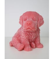 BÜYÜK PEMBE KÖPEK MUM