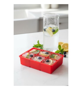 6 Hazneli Silikon Buz Kalıbı & Çok Amaçlı Buzluk Ve Dondurucu Organizeri 11x16 cm