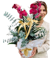 Özel Tasarım Çift Dallı Ateş Kırmızı Orkide 2 Dal Bol Çiçekli Red Phalaenopsis