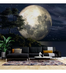 Ay ve Gece Manzarası Duvar Kağıdı