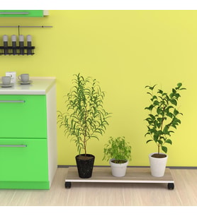 Kenzlife saksı altlığı kazım crd 010*090*30 tüp saksılık
