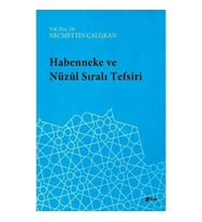 Habenneke ve Nüzul Sıralı Tefsiri