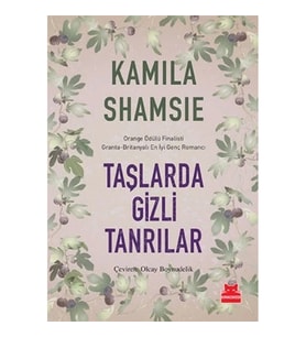 Taşlarda Gizli Tanrılar