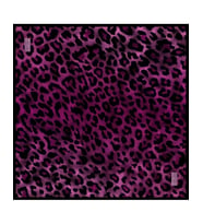 Güz Yaz Serinliği Eşarp - 90 x 90 -2464 (Fuşya)