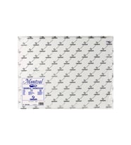 Canson Teknik Resim Kağıdı Sulu Boya Montval 300 GR 50 x 70 Cm (25 Li Paket)