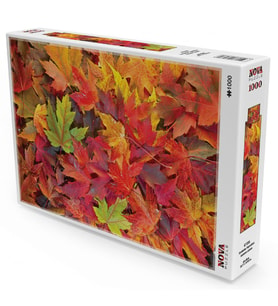 Nova Puzzle 1000 Parça Sonbahar Yaprakları Puzzle