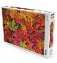 Nova Puzzle 1000 Parça Sonbahar Yaprakları Puzzle