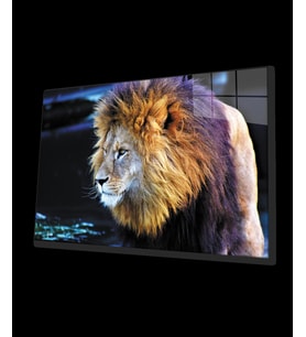 Aslan 2 Cam Tablo