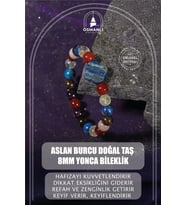 Aslan Burcu Bileklik Bordo Granat Lal, Bronzit, Güneş Taşı, Kırmızı Akik, Lapis Lazuli, Sitrin