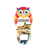 Hollanda Temalı Baykuş Magnet Kapak Açacak (Karışık)