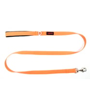 Tailpetz Match Leash Köpek Gezdirme Kayışı Neo-Turuncu Medium