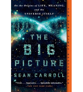 The Big Picture: On The Origins Of Life, Meaning, And The Universe Itself (Krem)