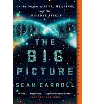 The Big Picture: On The Origins Of Life, Meaning, And The Universe Itself (Krem)