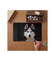 Siyah Beyaz Husky Köpeği Tasarımı 240 parça Ahşap Puzzle Ahşap Kutuda MP01933