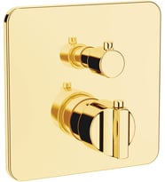 Artema Suit U A4267423 Ankastre Termostatik Banyo Bataryası, Sıva Üstü, V-Box, Altın (Çok Renkli)