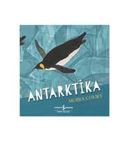 Antarktika - Moira Court