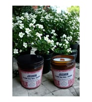 Bihal Yasemin Kokulu Doğal Soya Wax Ahşap Fitil Mum (250ML - 510 Gr)