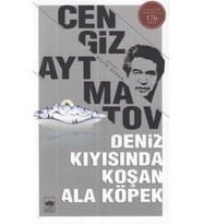 Deniz Kıyısında Koşan Ala Köpek