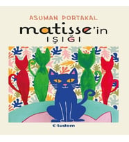 Matisse'in Işığı