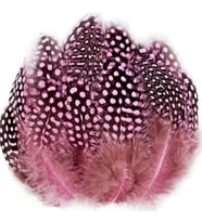 100 PCS DECOR PİNK BIRD FEATHER 100 ADET PUANTİYELİ PEMBE SİYAH KUŞ TÜYÜ DEKOR PEMBE KUŞ TÜYÜ