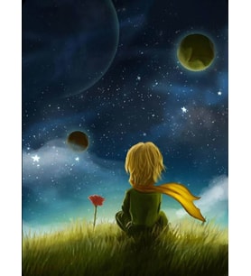 Küçük Prens Sayılarla Boyama Seti 40x 50 cm (Tuvale Gerili)