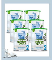 Golden Goat Keçi Devam Sütü 2 Numara 400 gr 6'lı Paket
