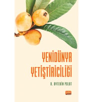 Yenidünya Yetiştiriciliği