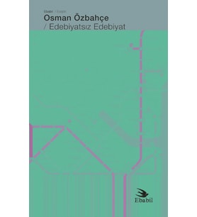 Edebiyatsız Edebiyat (Eleştiri)